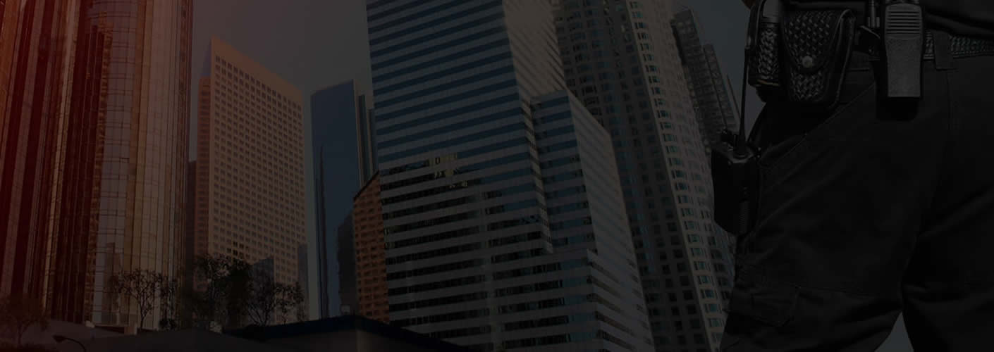 Procurement & Delivery